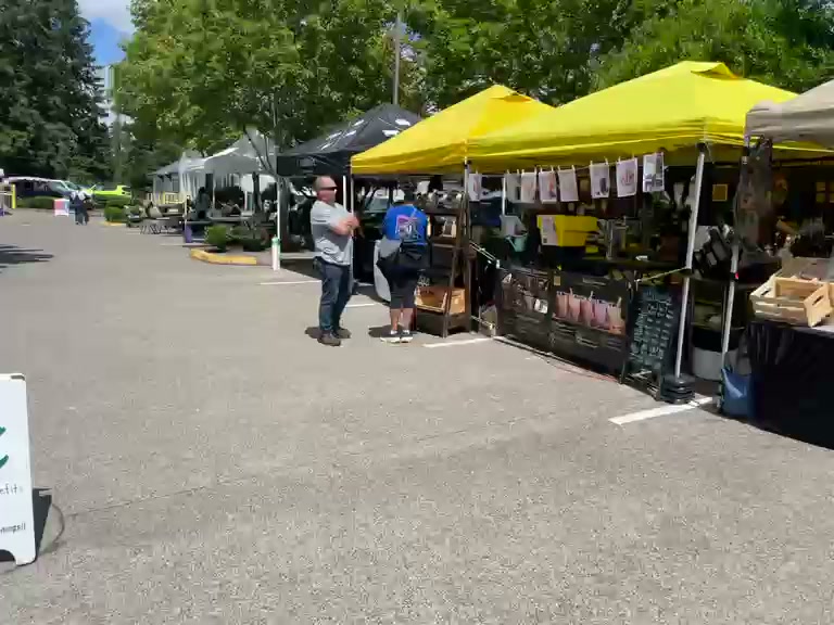 Yellow tents